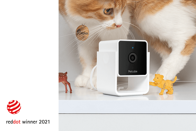 Petcube Cam