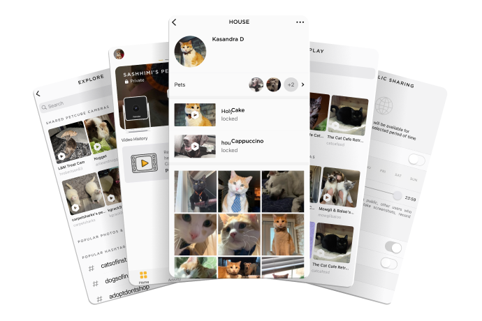 Petcube social features