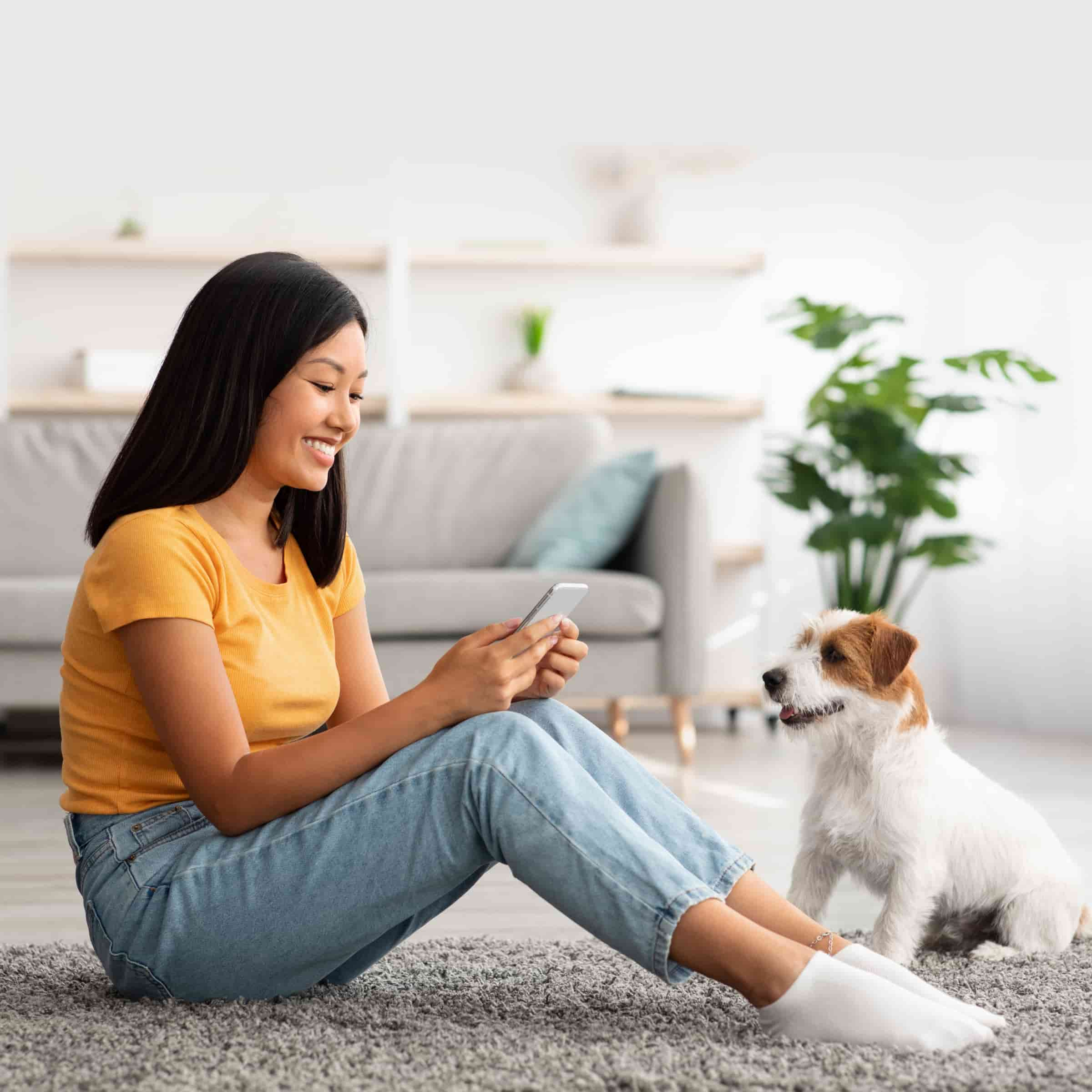 Petcube care sales