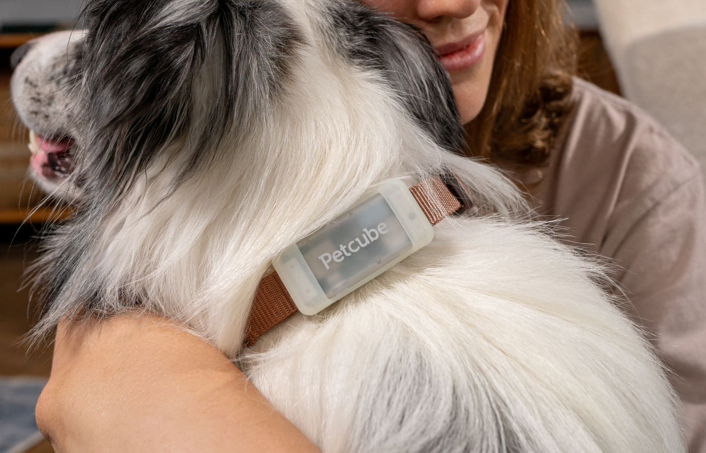 Petcube Launches GPS Tracker