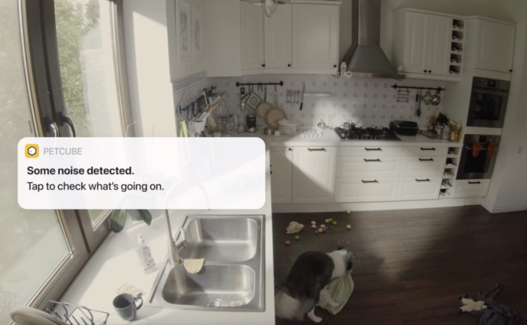 Your browser does not support the <video> tag