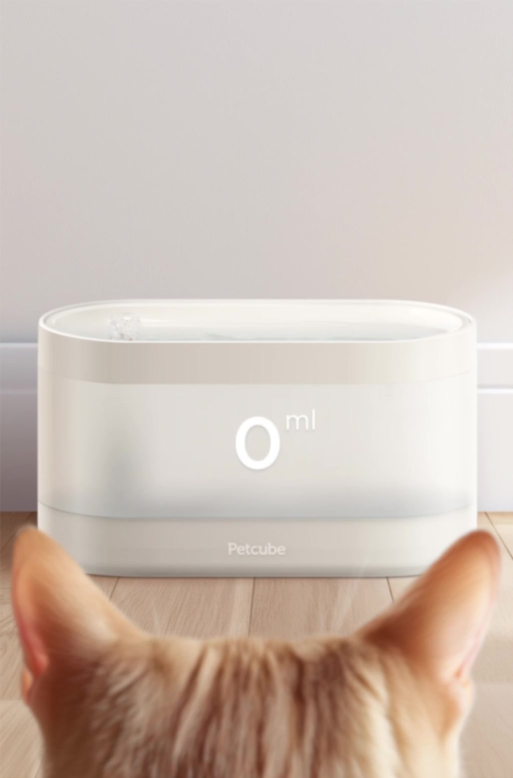 Your browser does not support the <video> tag