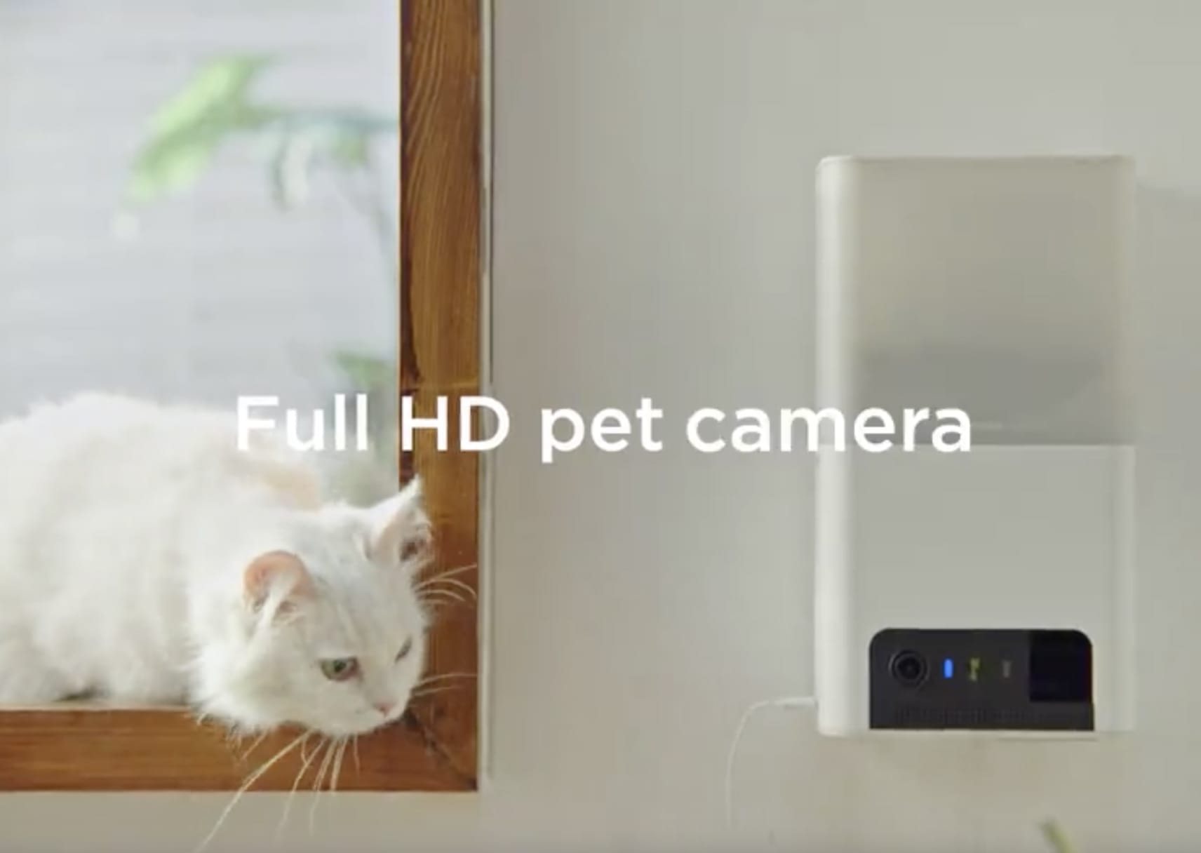 Petcube Bites 2 Lite smart HD pet camera has a treat dispenser, 160° view,  and 2-way talk » Gadget Flow